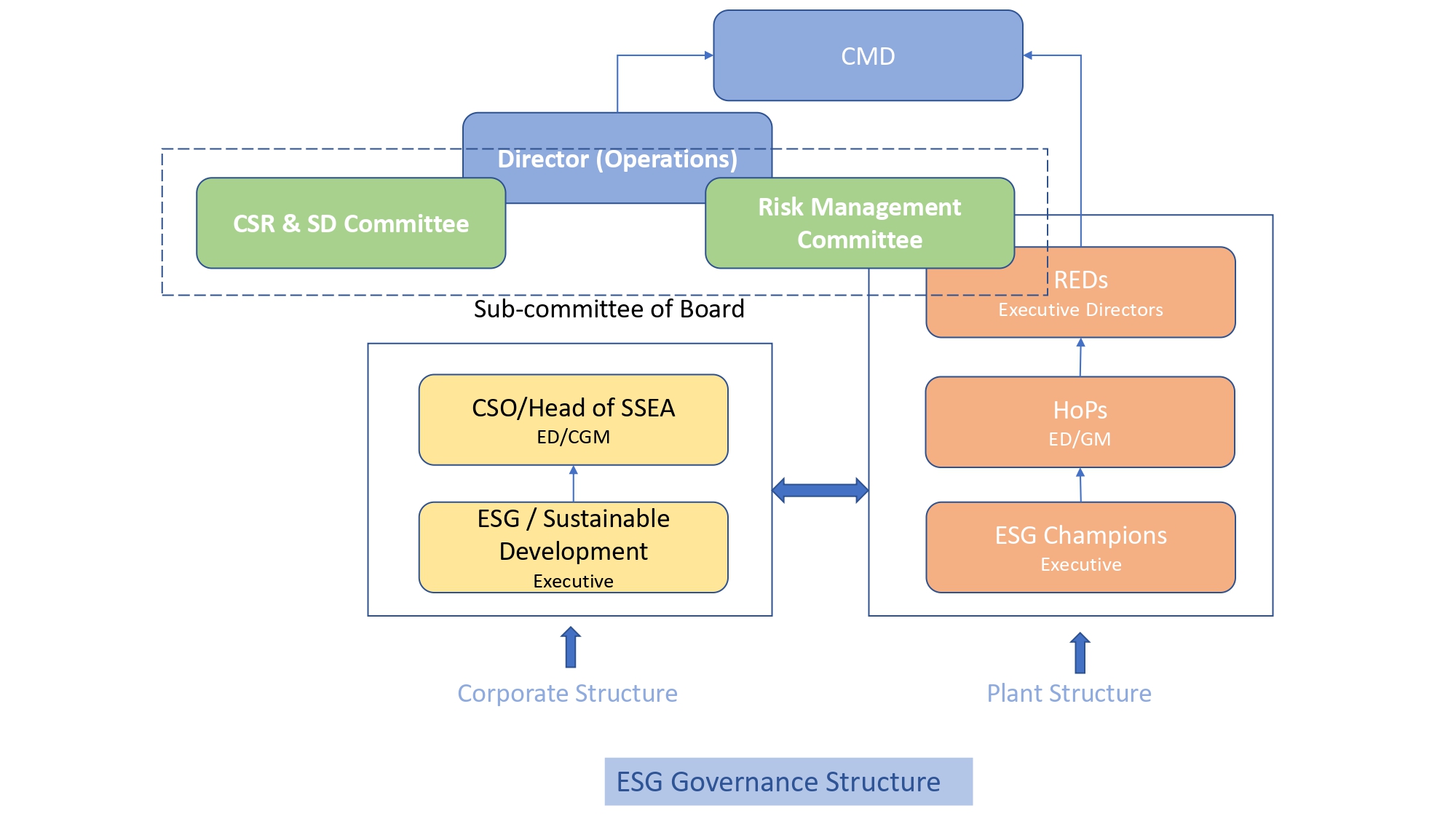 ESG Governance Structure